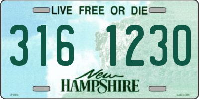 NH license plate 3161230