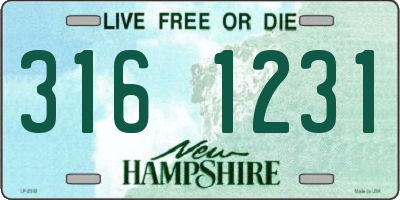 NH license plate 3161231