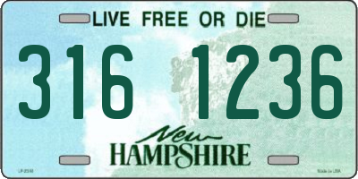 NH license plate 3161236