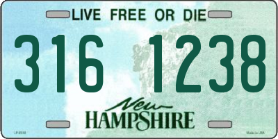 NH license plate 3161238