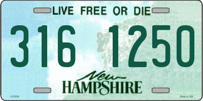 NH license plate 3161250