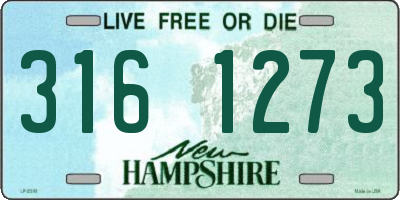 NH license plate 3161273