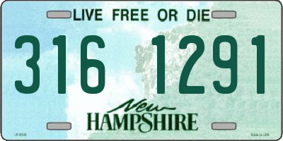 NH license plate 3161291