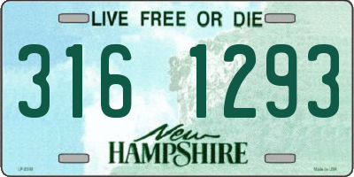 NH license plate 3161293