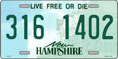 NH license plate 3161402