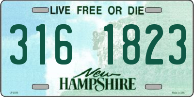 NH license plate 3161823