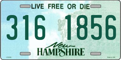NH license plate 3161856