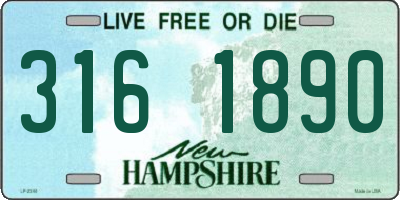 NH license plate 3161890