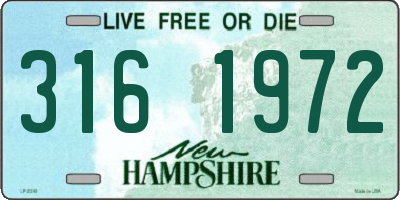 NH license plate 3161972