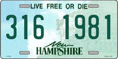 NH license plate 3161981