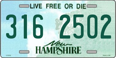 NH license plate 3162502