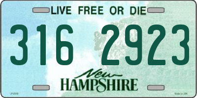NH license plate 3162923