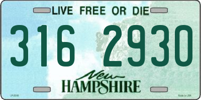 NH license plate 3162930