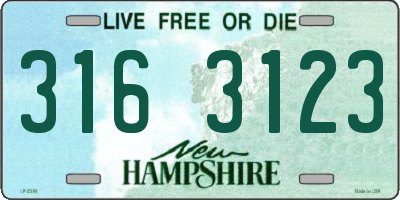 NH license plate 3163123