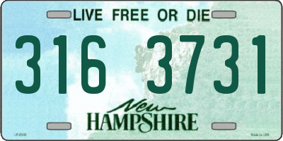 NH license plate 3163731