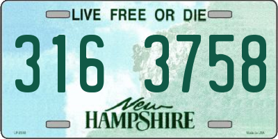 NH license plate 3163758