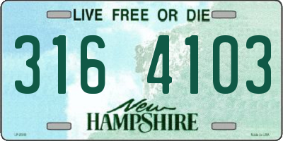 NH license plate 3164103