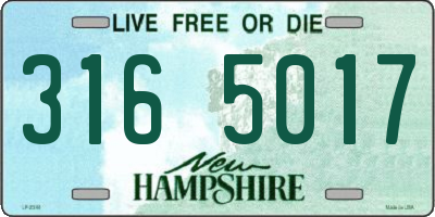NH license plate 3165017