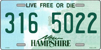 NH license plate 3165022