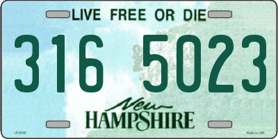 NH license plate 3165023