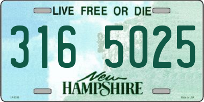 NH license plate 3165025