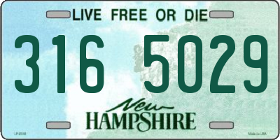 NH license plate 3165029