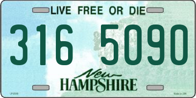 NH license plate 3165090