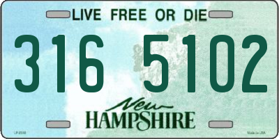 NH license plate 3165102