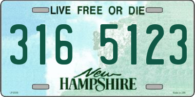NH license plate 3165123