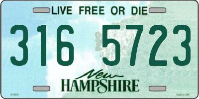 NH license plate 3165723