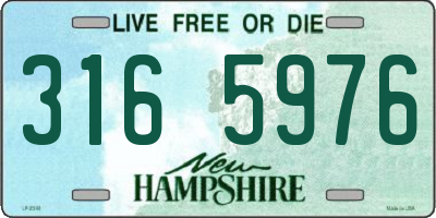 NH license plate 3165976