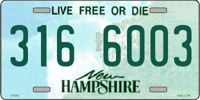 NH license plate 3166003