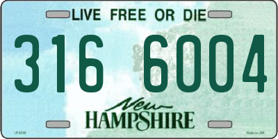 NH license plate 3166004