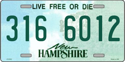NH license plate 3166012