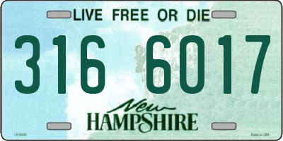 NH license plate 3166017