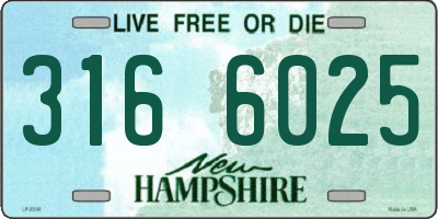 NH license plate 3166025