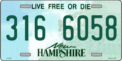 NH license plate 3166058