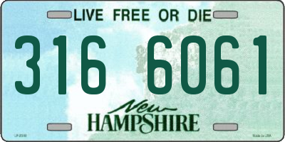 NH license plate 3166061