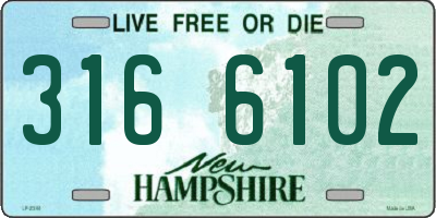 NH license plate 3166102