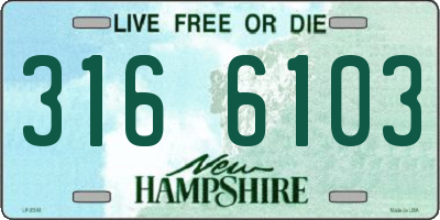 NH license plate 3166103