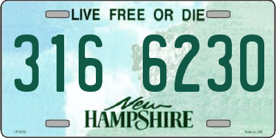 NH license plate 3166230