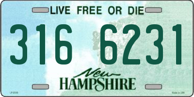 NH license plate 3166231