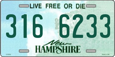 NH license plate 3166233