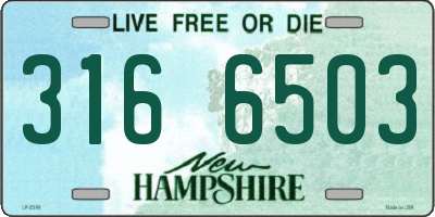 NH license plate 3166503