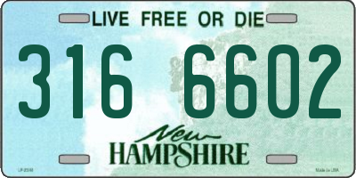 NH license plate 3166602