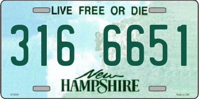 NH license plate 3166651