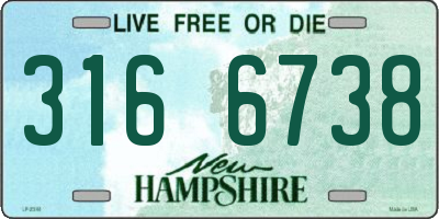 NH license plate 3166738