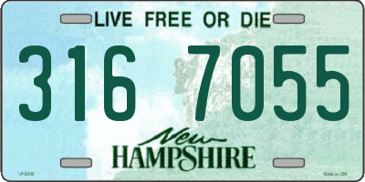 NH license plate 3167055