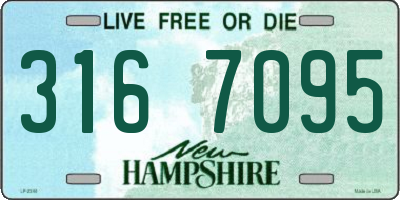 NH license plate 3167095