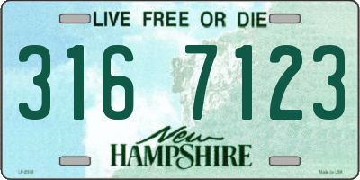 NH license plate 3167123